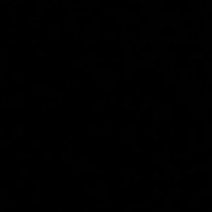 Meet your Posher, Ariel